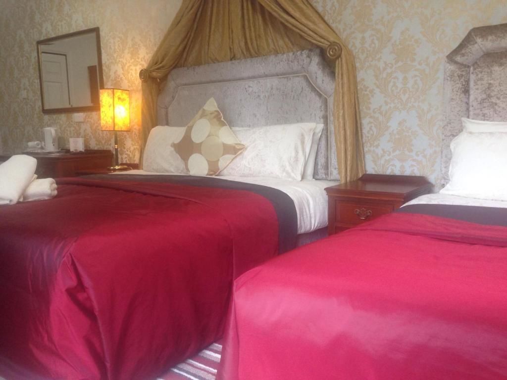 Отели типа «постель и завтрак» Killarney Inn Килларни-59